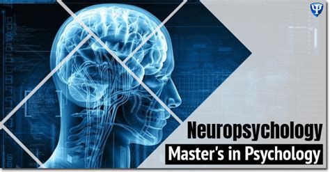 Neuropsychology phd programs. Things To Know About Neuropsychology phd programs. 